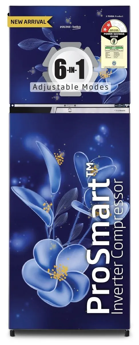 243 L 2 Star Double Door Refrigerator (RFF280D)